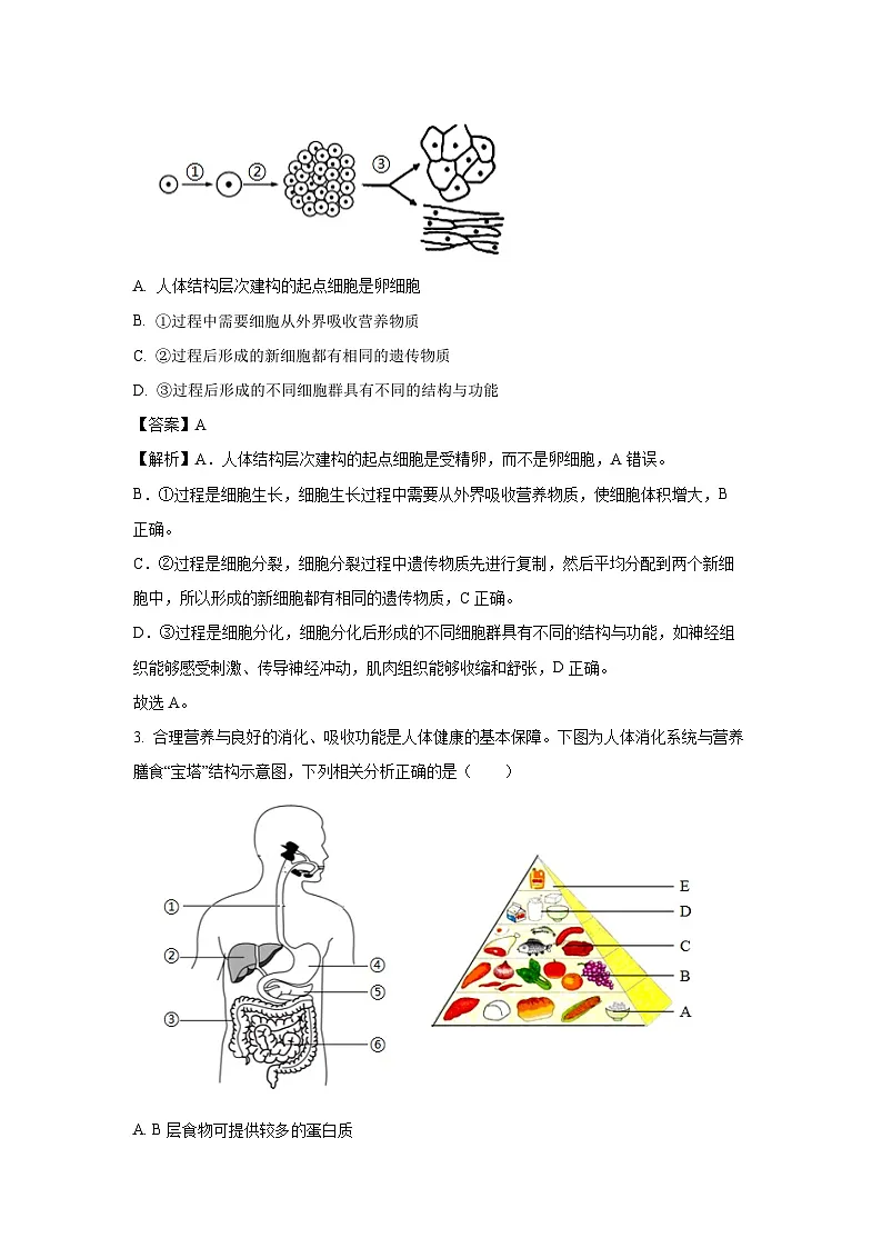 【生物】2025年四川省南充市名校联测中考二模试题(解析版)第2页