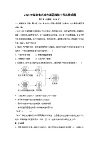 【生物】2025年湖北省大冶市城区四校中考三模试题（解析版）