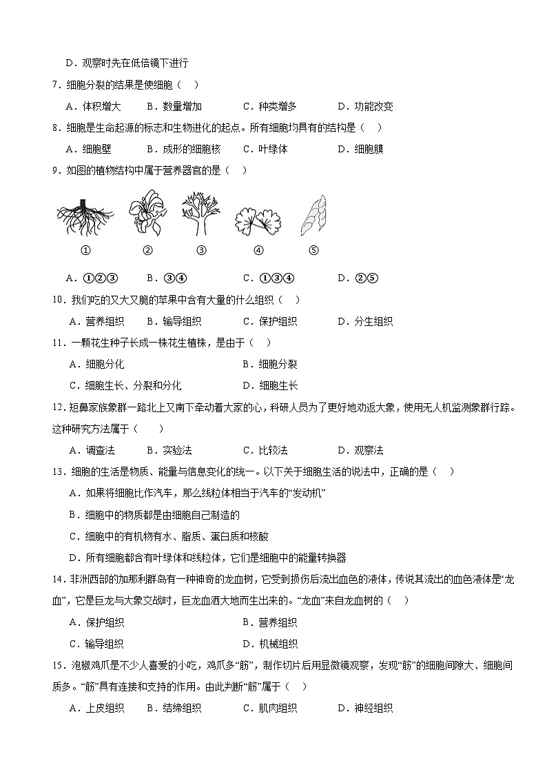 人教版(2024)七年级上册生物第一单元 生物和细胞 学情调研测试卷(含答案)第2页