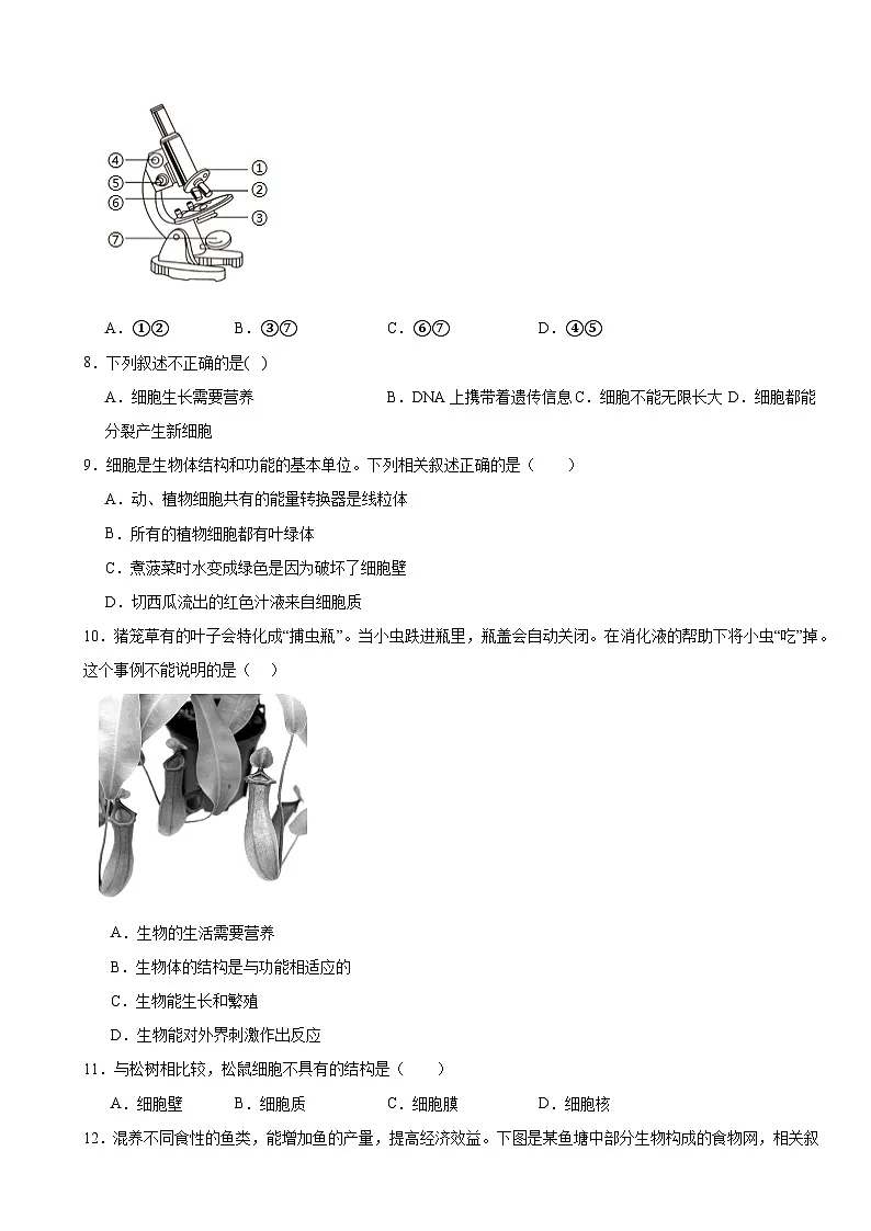 人教版(2024)七年级上册生物第一单元 生物和细胞 章末测试卷(含答案)第2页