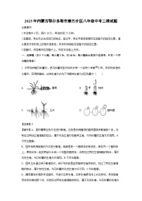 【生物】2025年内蒙古鄂尔多斯市康巴什区八年级中考二模试题（解析版）
