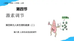【核心素養(yǎng)】人教版初中生物八年級(jí)上冊(cè)4.6.4《激素調(diào)節(jié)》課件＋課時(shí)練習(xí)＋教案（含教學(xué)反思）