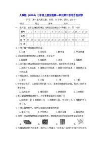 人教版（2024）七年级上册（2024）制作细胞模型当堂检测题