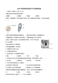 2025年吉林省长春市中考生物试卷(含解析)
