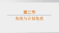初中生物人教版（2024）八年级上册（2024）第二节 免疫与免疫规划课文ppt课件