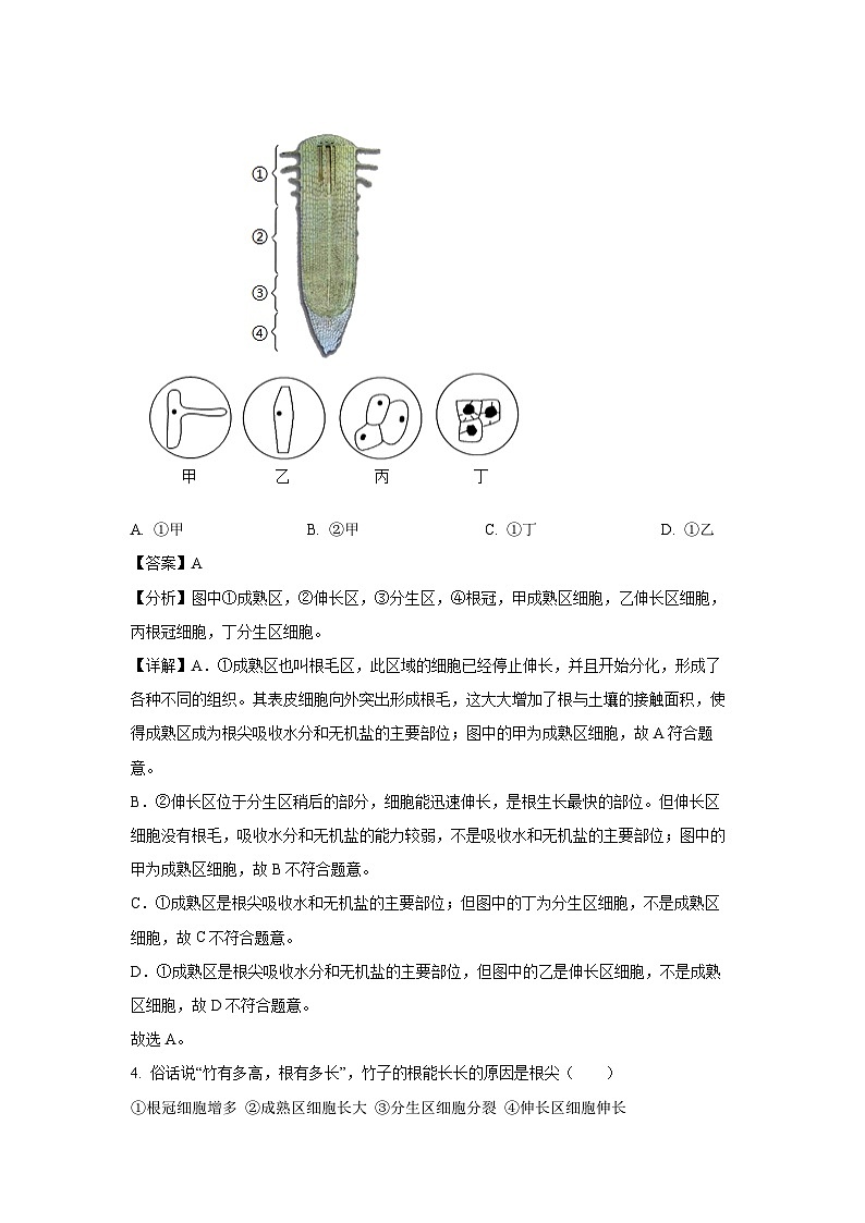 2024-2025学年湖南省岳阳市临湘市七年级下学期期末生物试卷(解析版)第3页