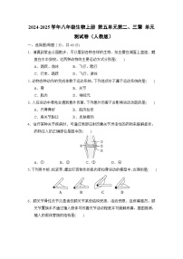 2024-2025学年八年级生物上册 第五单元第二、三章 单元测试卷（人教版）