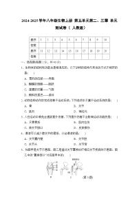 2024-2025学年八年级生物上册 第五单元第二、三章 单元测试卷（ 人教版）