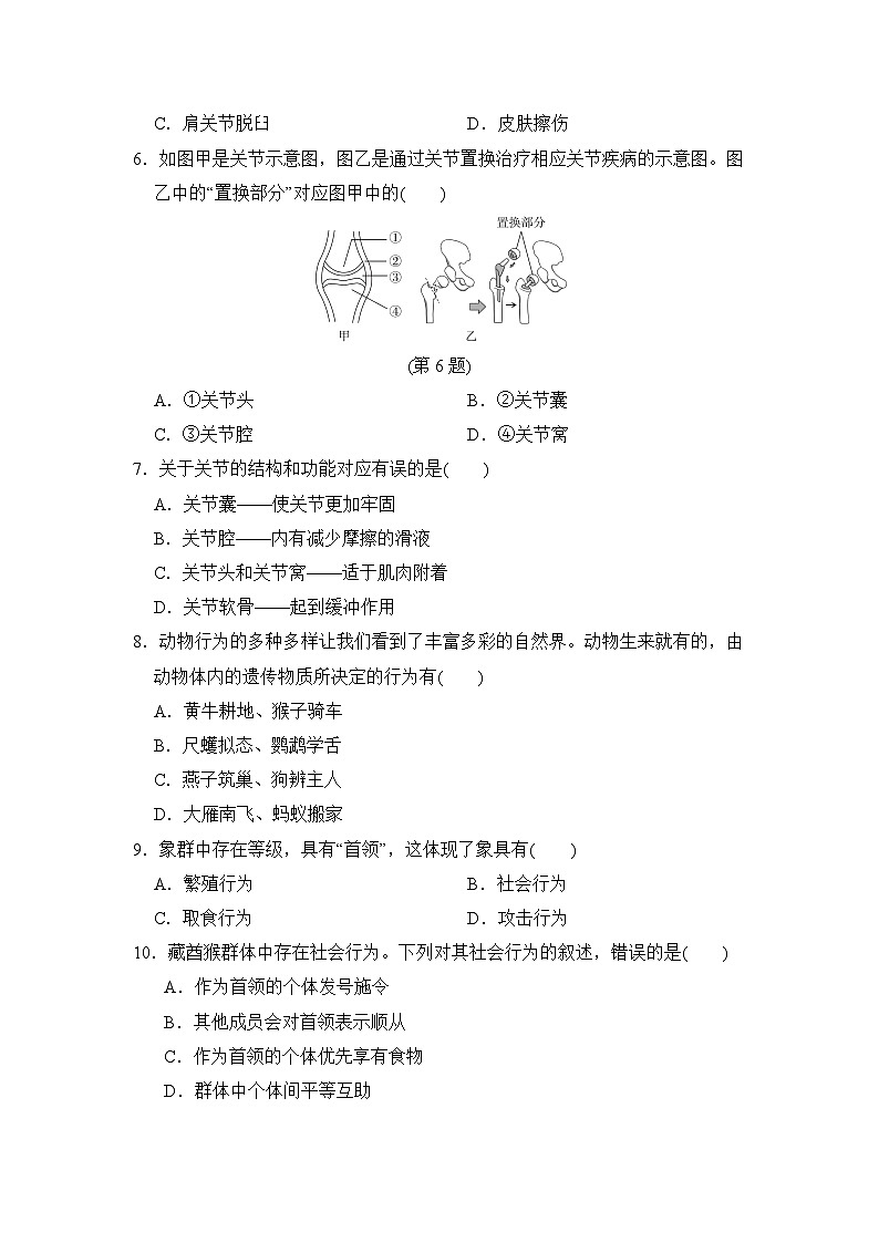 2024-2025学年八年级生物上册 第五单元第二、三章 单元测试卷(人教福建版)第2页