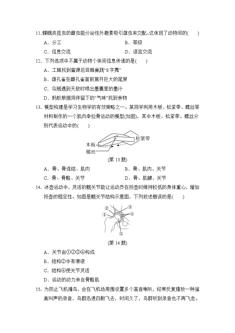2024-2025学年八年级生物上册 第五单元第二、三章 单元测试卷(人教福建版)第3页