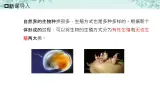 【核心素养目标】北京版初中生物八年级上册4.1.4《生物生殖的多种方式》课件