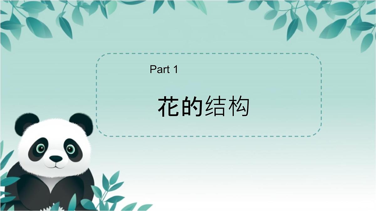 【核心素养目标】北京版初中生物八年级上册4.1.1《绿色开花植物的生殖和发育·》课件第4页