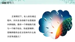 【核心素养目标】北京版初中生物八年级上册4.1.2《人的生殖和发育》课件