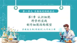 【新教材新課標(biāo)】蘇教版生物七年級上冊跨學(xué)科實(shí)踐 制作細(xì)胞結(jié)構(gòu)模型（教學(xué)課件+教學(xué)設(shè)計(jì)）