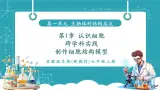 【新教材新课标】苏教版生物七年级上册跨学科实践 制作细胞结构模型（教学课件+教学设计）