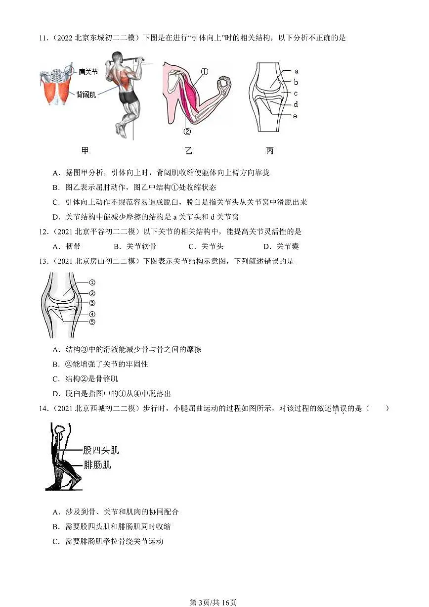2021-2025北京初二二模生物汇编:动物的运动(京改版) 有解析第3页