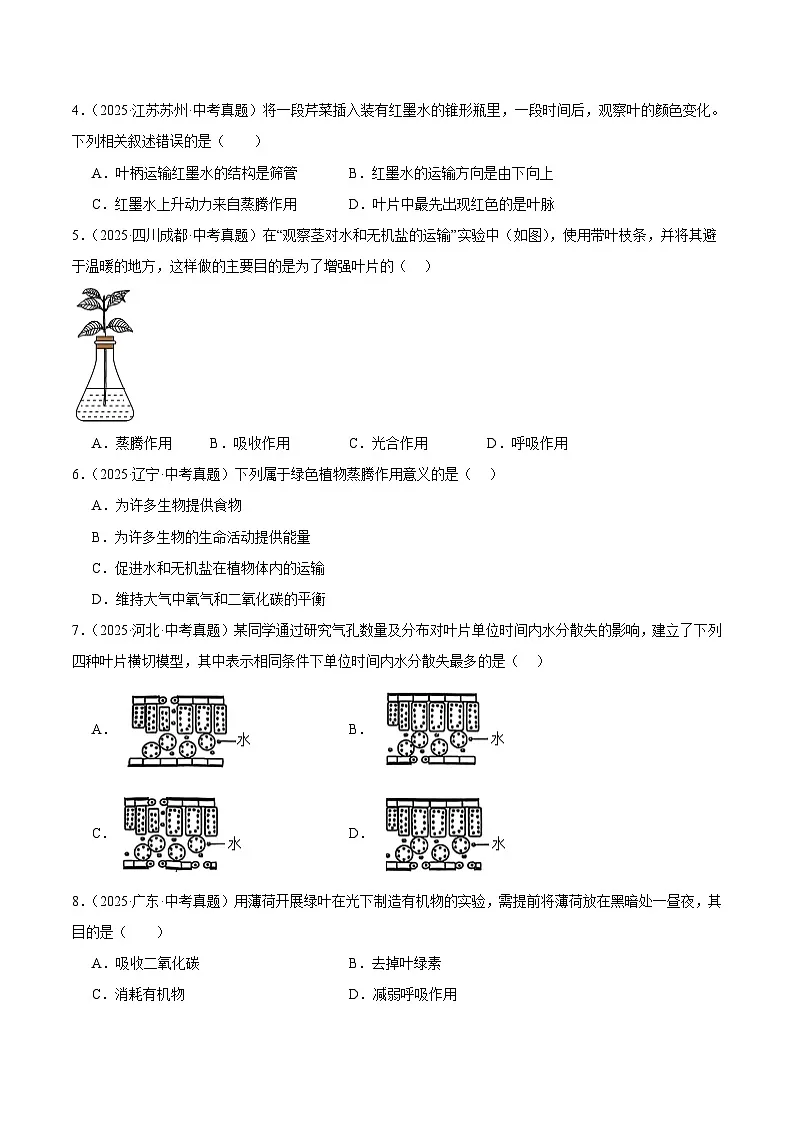 2025年中考生物真题分类汇编:专题07 植物体内物质和能量的变化(全国通用)(第01期)(原卷版)第2页