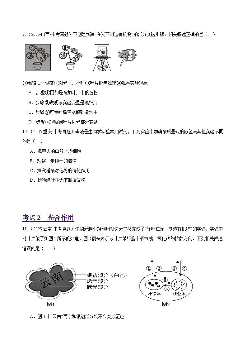 2025年中考生物真题分类汇编:专题07 植物体内物质和能量的变化(全国通用)(第01期)(原卷版)第3页