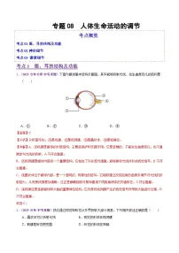 2025年中考生物真题分类汇编：专题08 人体生命活动的调节（全国通用）（第02期）（解析版）