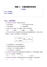 2025年中考生物真题分类汇编：专题13 生物的遗传和变异（全国通用）（第02期）（原卷版）