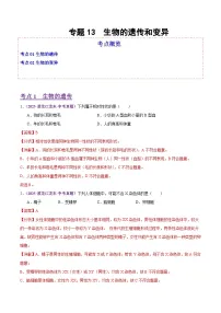 2025年中考生物真题分类汇编:专题13 生物的遗传和变异(全国通用)(第02期)(解析版)