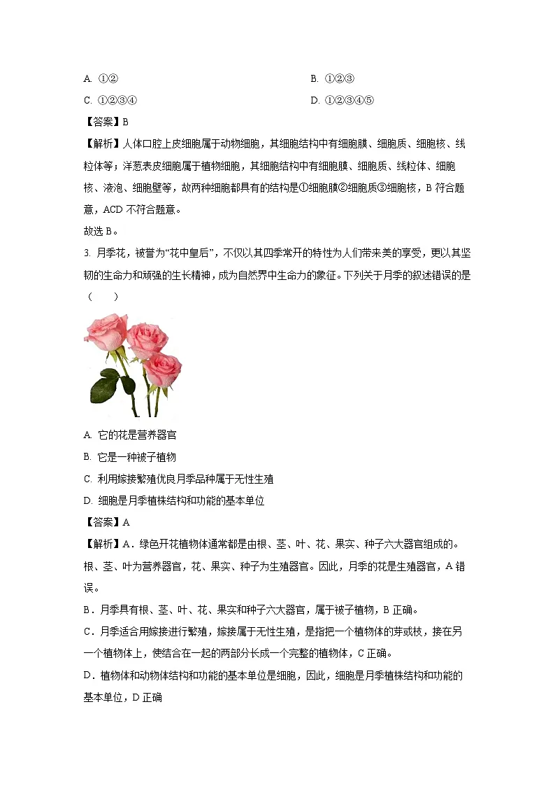 2025年山东省滕州市八年级中考三模生物试卷(解析版)第2页