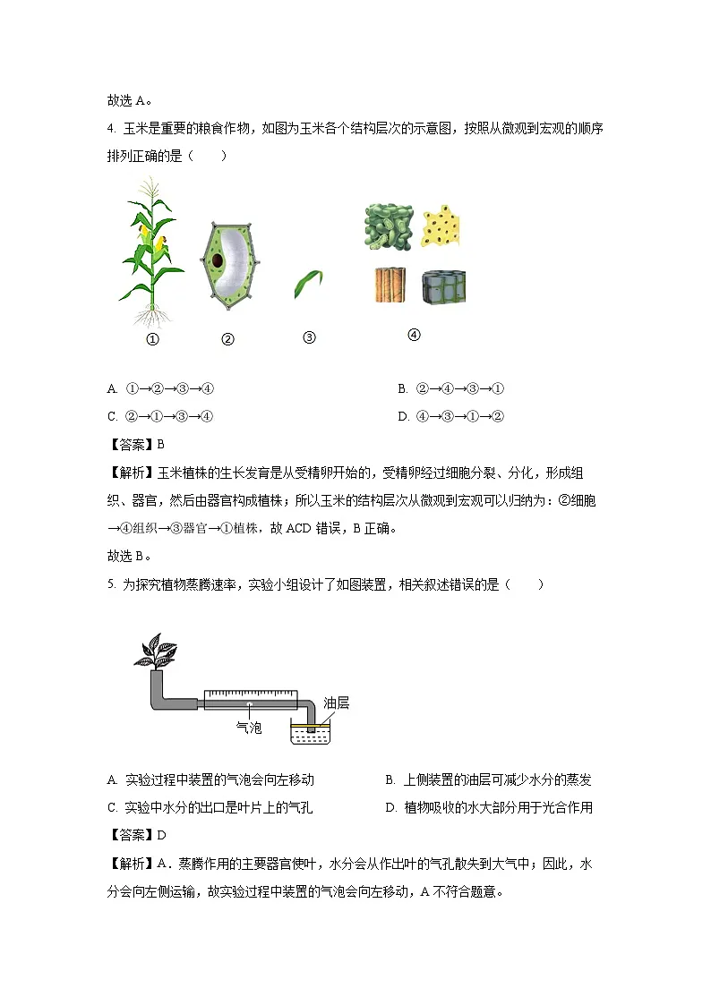2025年山东省滕州市八年级中考三模生物试卷(解析版)第3页