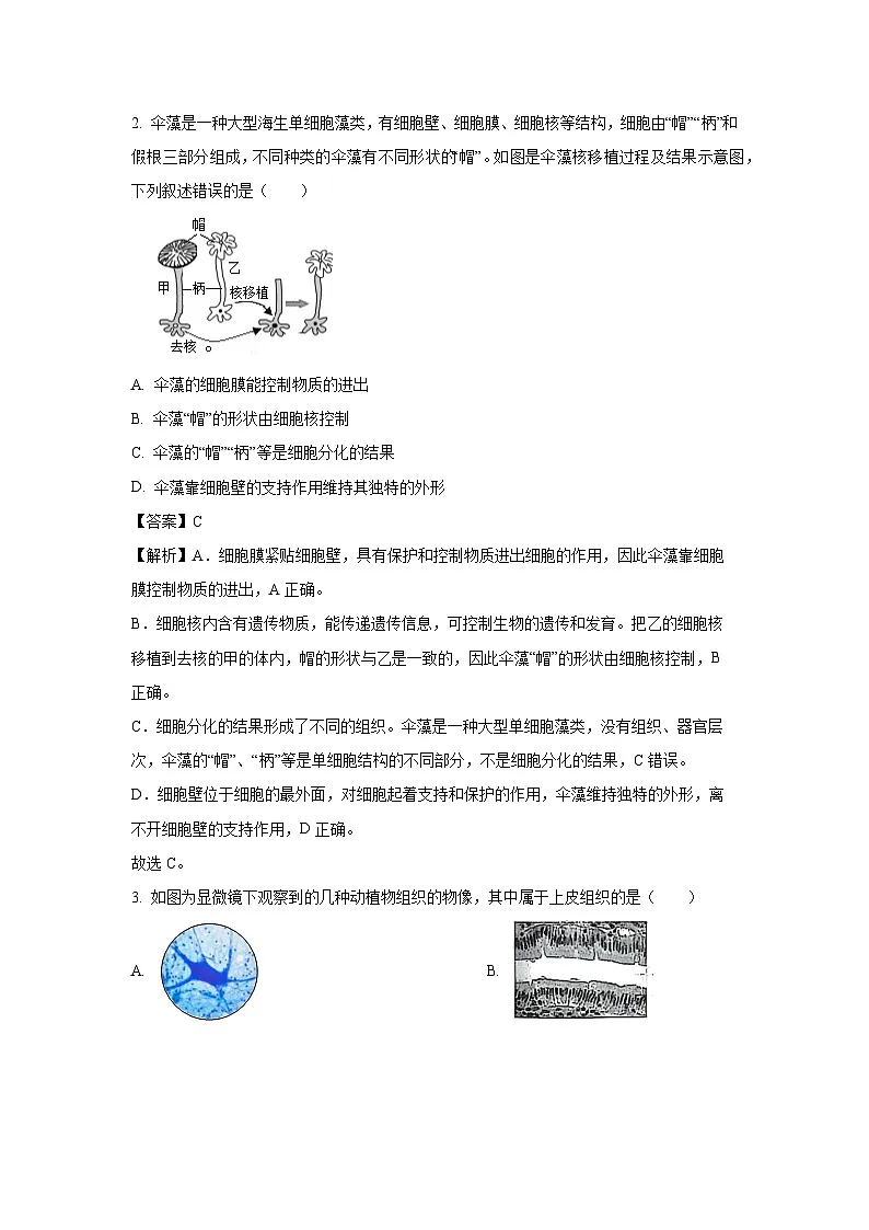 2025年山东省济宁市泗水县八年级中考三模生物试卷(解析版)第2页