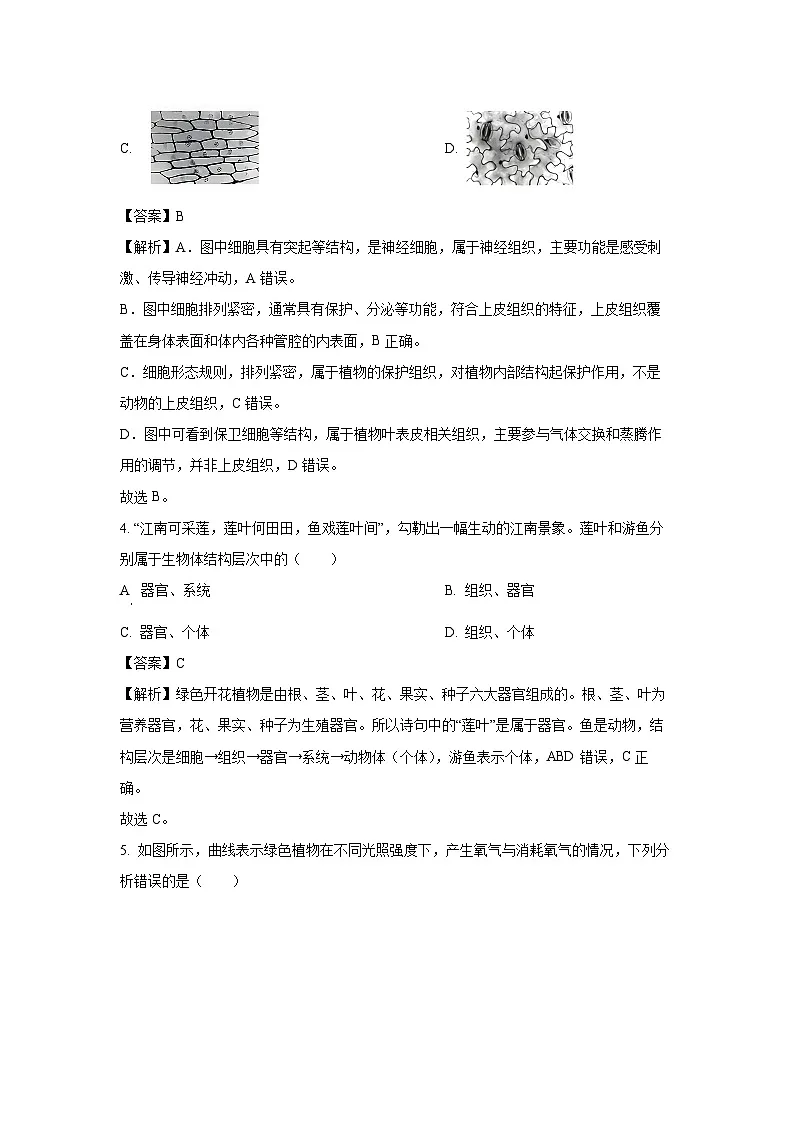 2025年山东省济宁市泗水县八年级中考三模生物试卷(解析版)第3页