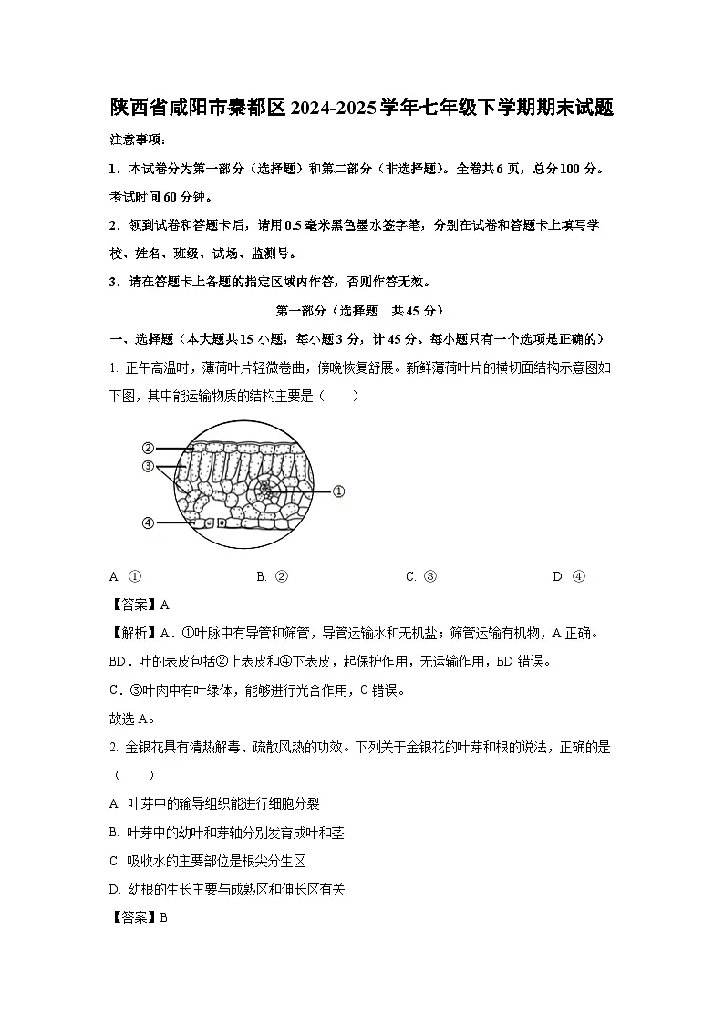 陕西省咸阳市秦都区2024-2025学年七年级下学期期末生物试卷(解析版)第1页