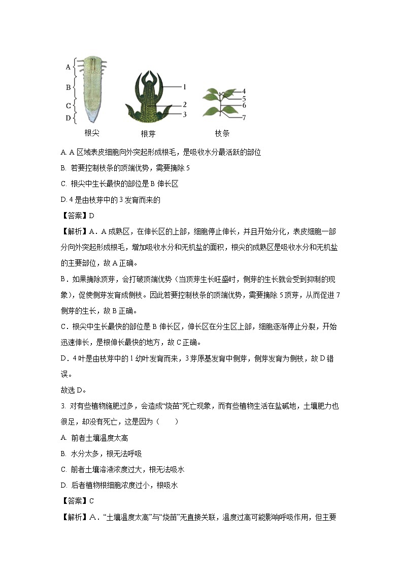 湖南省郴州市2024-2025学年七年级下学期期末生物试卷(解析版)第2页