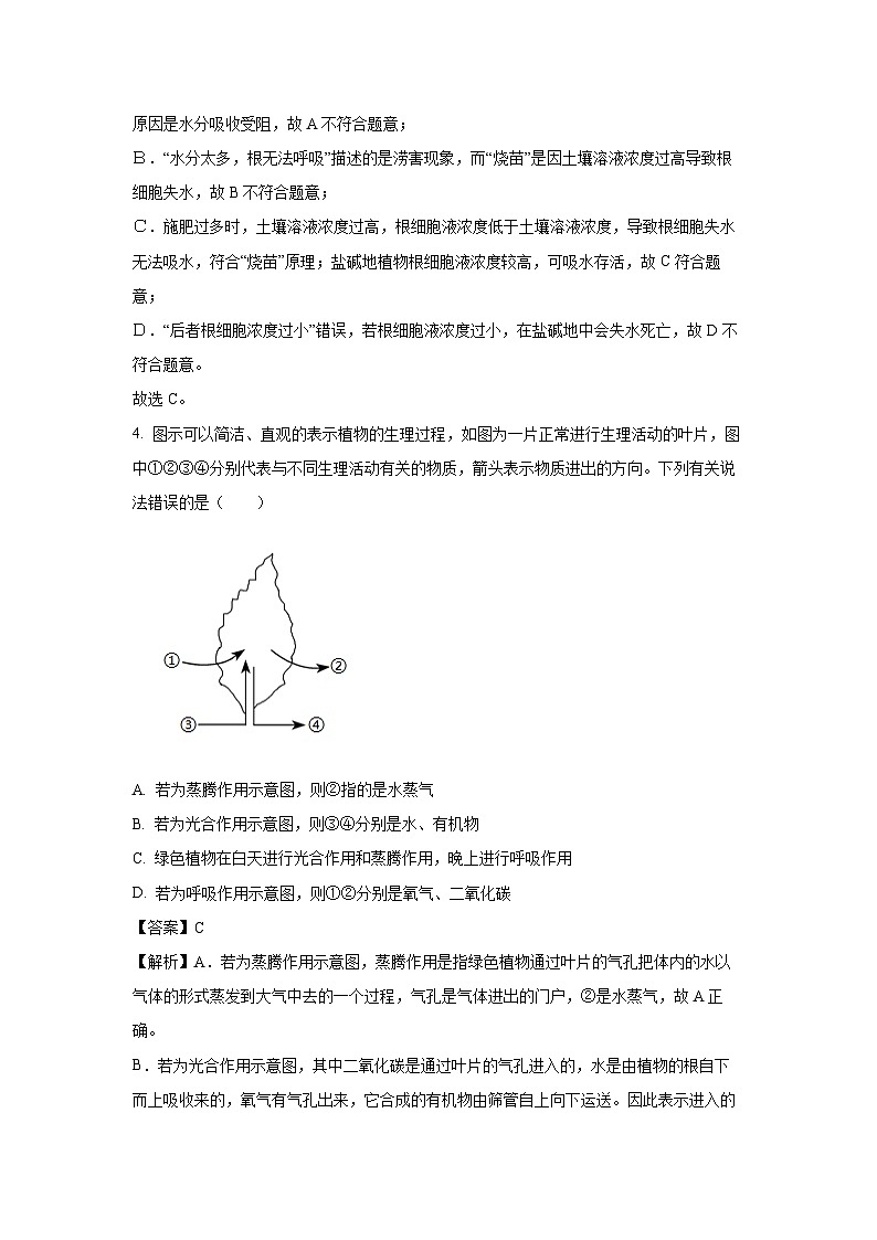 湖南省郴州市2024-2025学年七年级下学期期末生物试卷(解析版)第3页