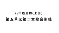 生物八年级上册（2024）第二节 维护生态安全作业ppt课件