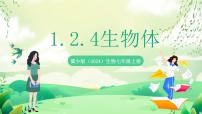初中生物冀少版（2024）七年级上册（2024）生物体公开课ppt课件