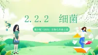 初中生物冀少版（2024）七年级上册（2024）细菌获奖课件ppt