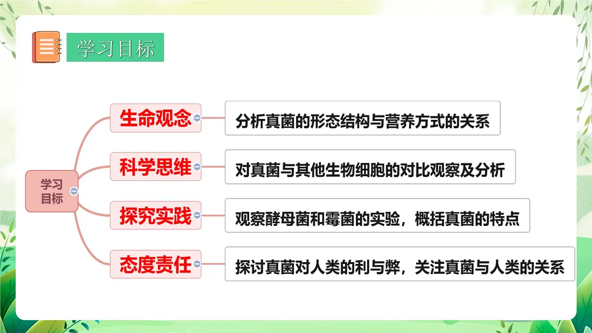 冀少版(2024)生物七上2.2.3 真菌 课件第3页