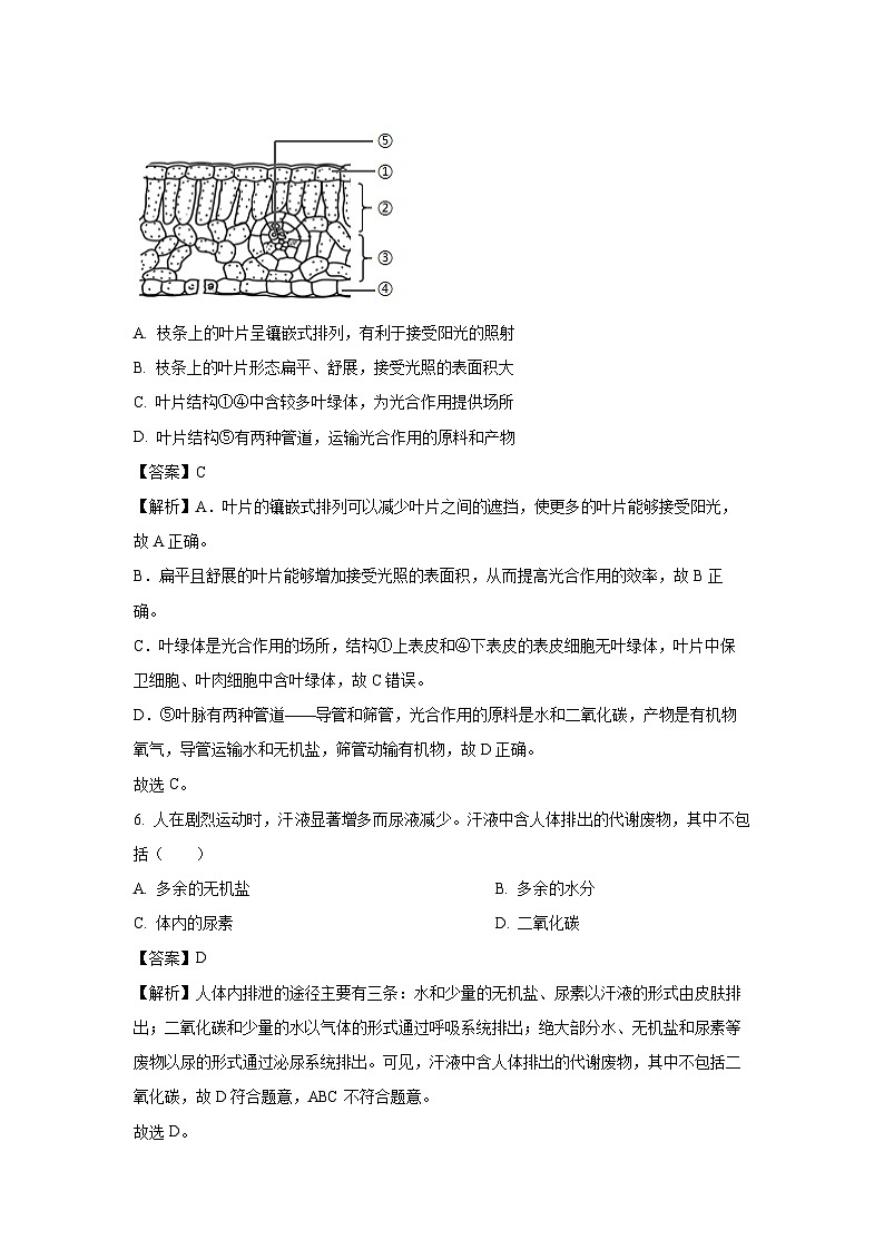 【生物】2025年广西来宾市八年级三模试题(解析版)第3页