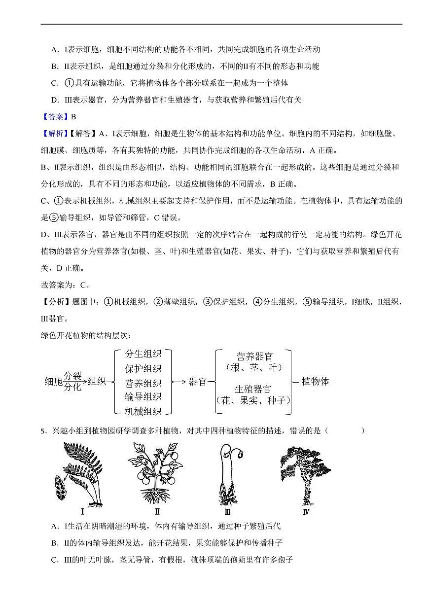 2025年山东省泰安市中考生物真题试题及同步解析第3页