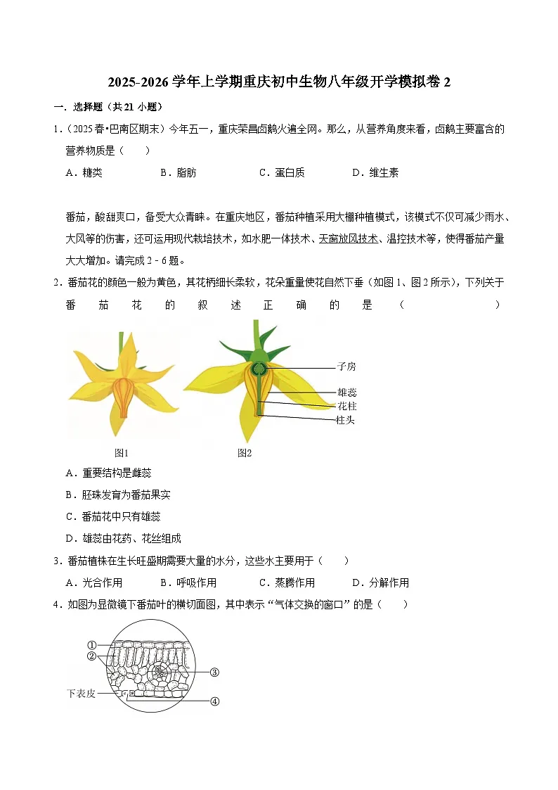 2025-2026学年上学期重庆初中生物八年级开学模拟卷2第1页