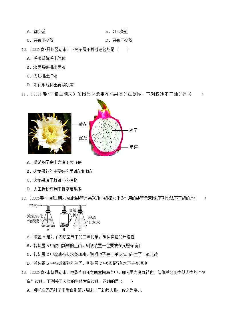 2025-2026学年上学期重庆初中生物八年级开学模拟卷2第3页