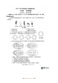 2025年陕西省西安高新第一中学初中部中考四模生物试卷(无答案)