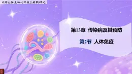 13.2《人體免疫》 課件+教案