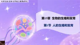 15.1《人的生殖和發(fā)育》 課件+教案