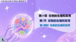 15.2.3《動(dòng)物的生殖和發(fā)育—鳥(niǎo)類》 課件+教案