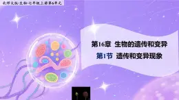 16.1《遺傳和變異現(xiàn)象》 課件+教案