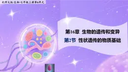 16.2《性狀遺傳的物質(zhì)基礎(chǔ)》 課件+教案
