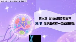 16.3《性狀遺傳有一定的規(guī)律性》 課件+教案