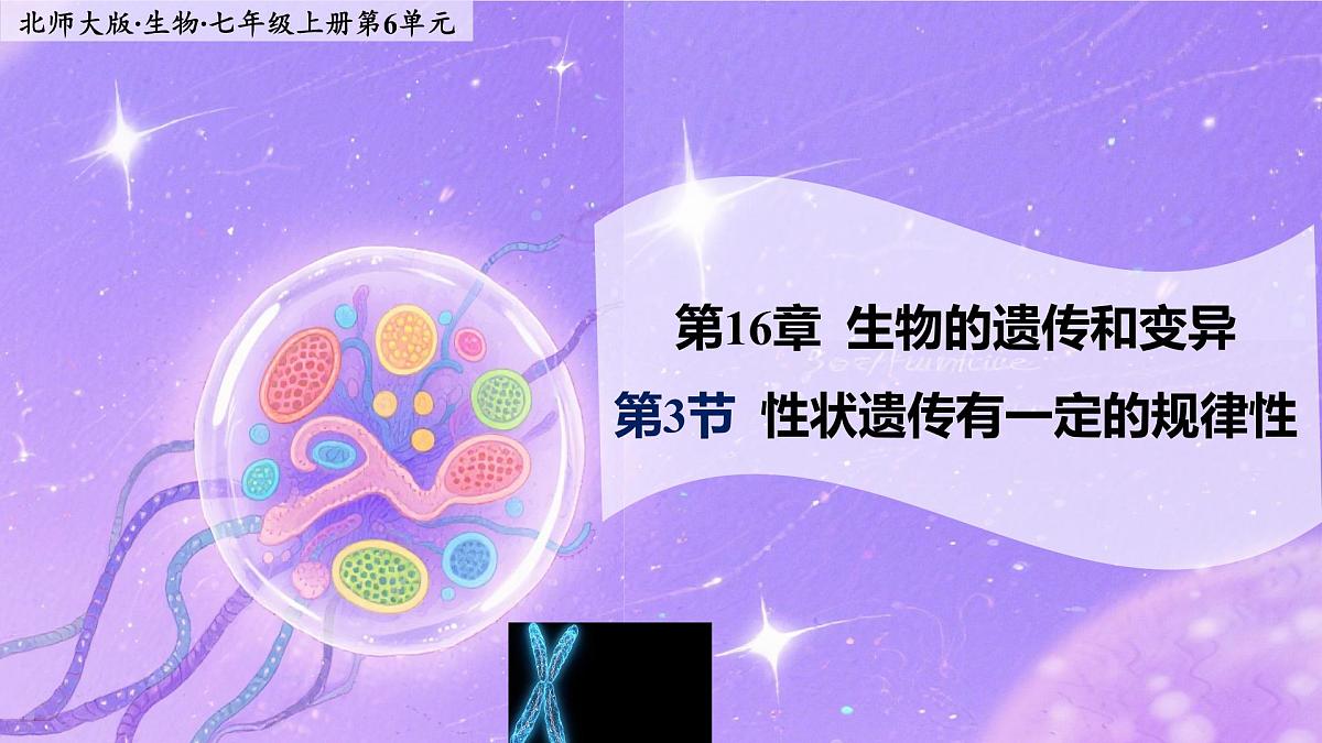 16.3《性状遗传有一定的规律性》 课件第1页