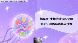 16.5《遺傳與轉(zhuǎn)基因技術(shù)》 課件+教案