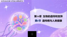 16.6《遺傳病與人類健康》 課件+教案